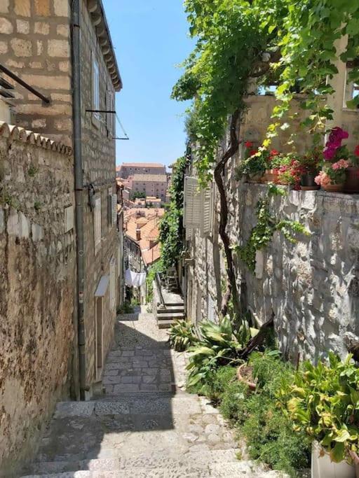 House Marija In Old Town Daire Dubrovnik Dış mekan fotoğraf