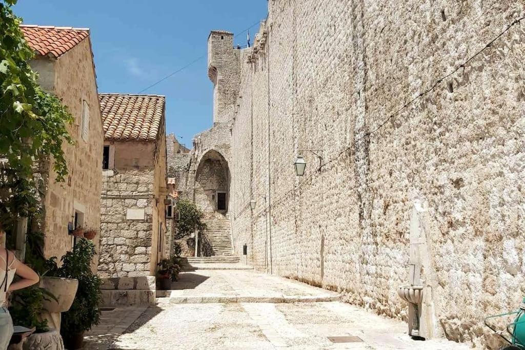 House Marija In Old Town Daire Dubrovnik Dış mekan fotoğraf