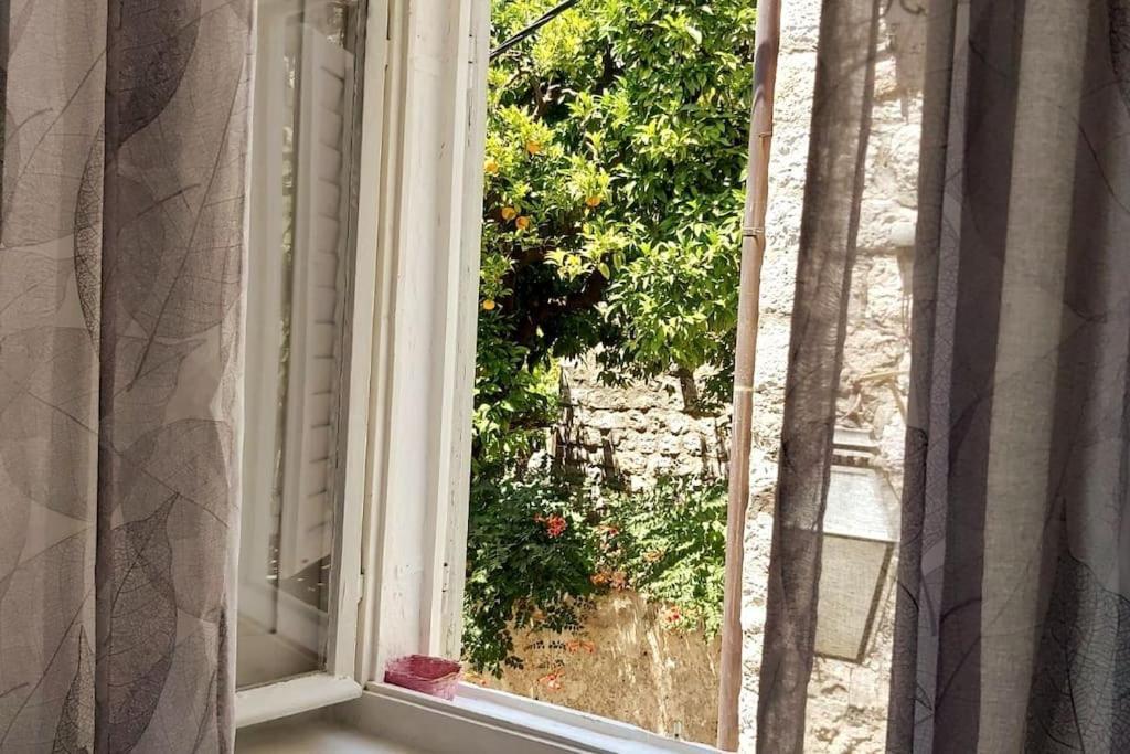 House Marija In Old Town Daire Dubrovnik Dış mekan fotoğraf