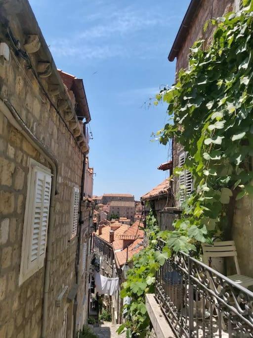 House Marija In Old Town Daire Dubrovnik Dış mekan fotoğraf