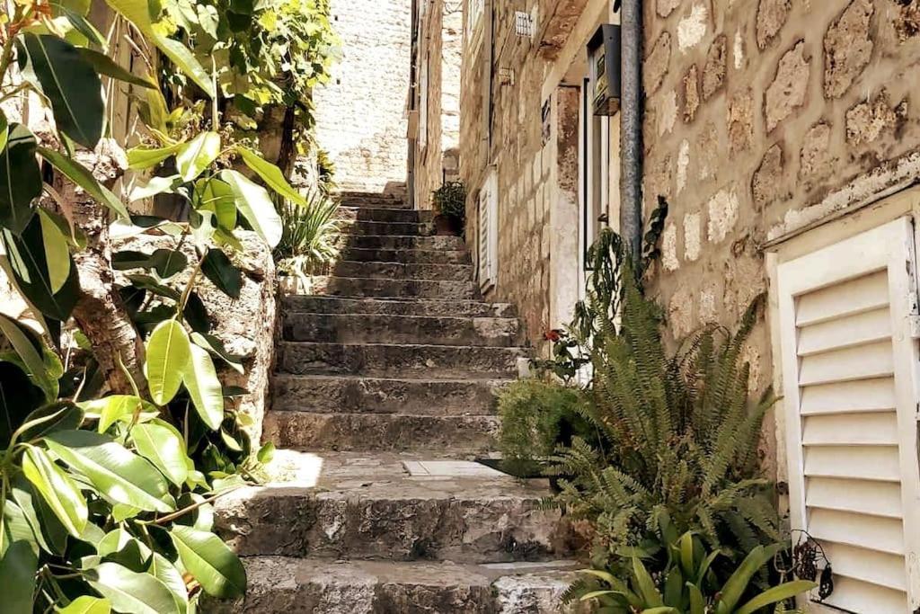 House Marija In Old Town Daire Dubrovnik Dış mekan fotoğraf